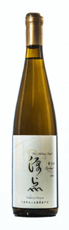 Ningxia Mengyuan, The Starting Point Riesling, Helan Mountain East, Ningxia, China, 2016